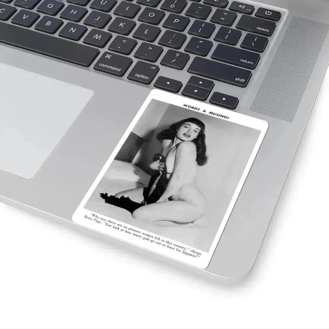 Bettie Page #760 (Vintage Female Icon) STICKER Vinyl Kiss-Cut Decal - The Sticker Space