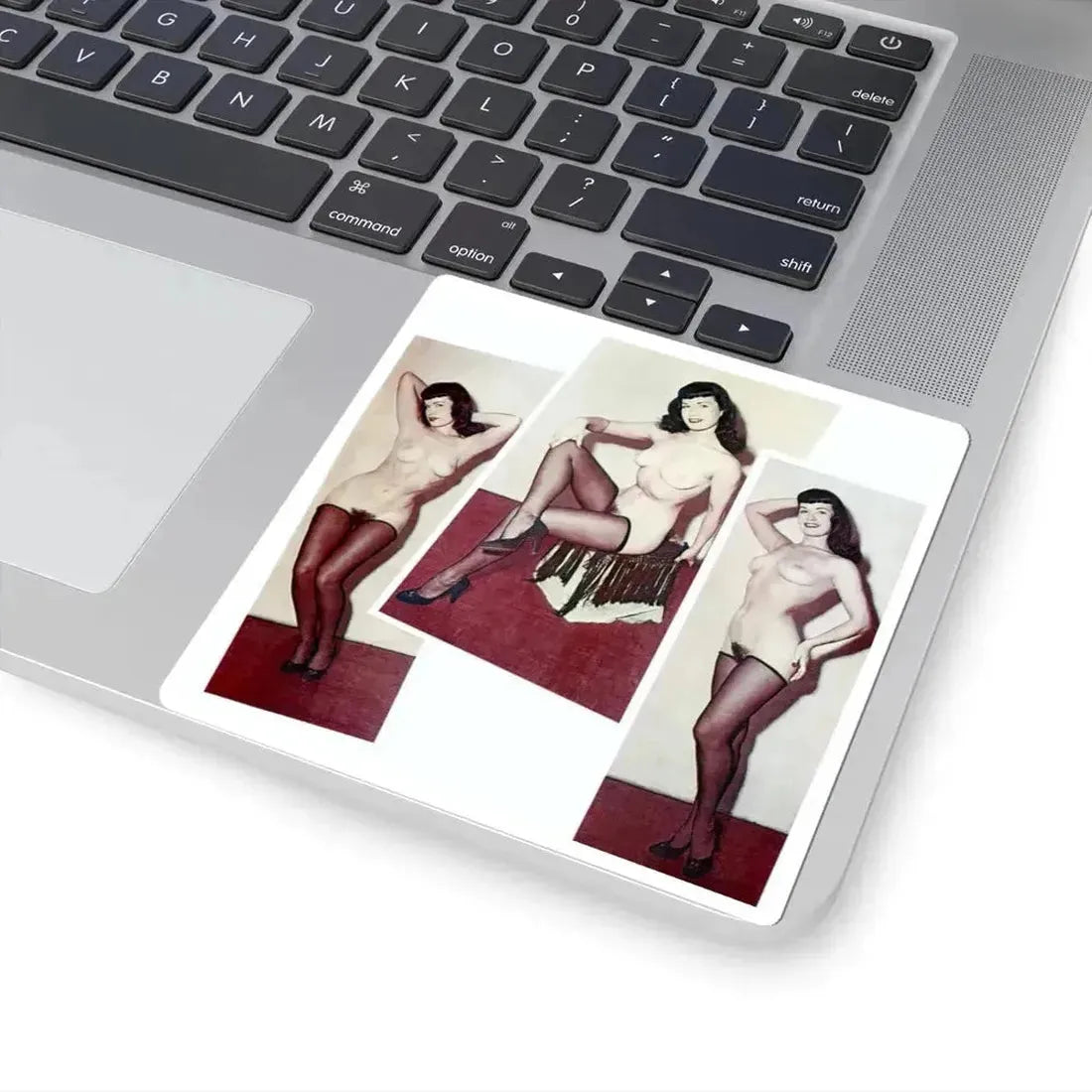 Bettie Page #787 (Vintage Female Icon) STICKER Vinyl Kiss-Cut Decal - The Sticker Space