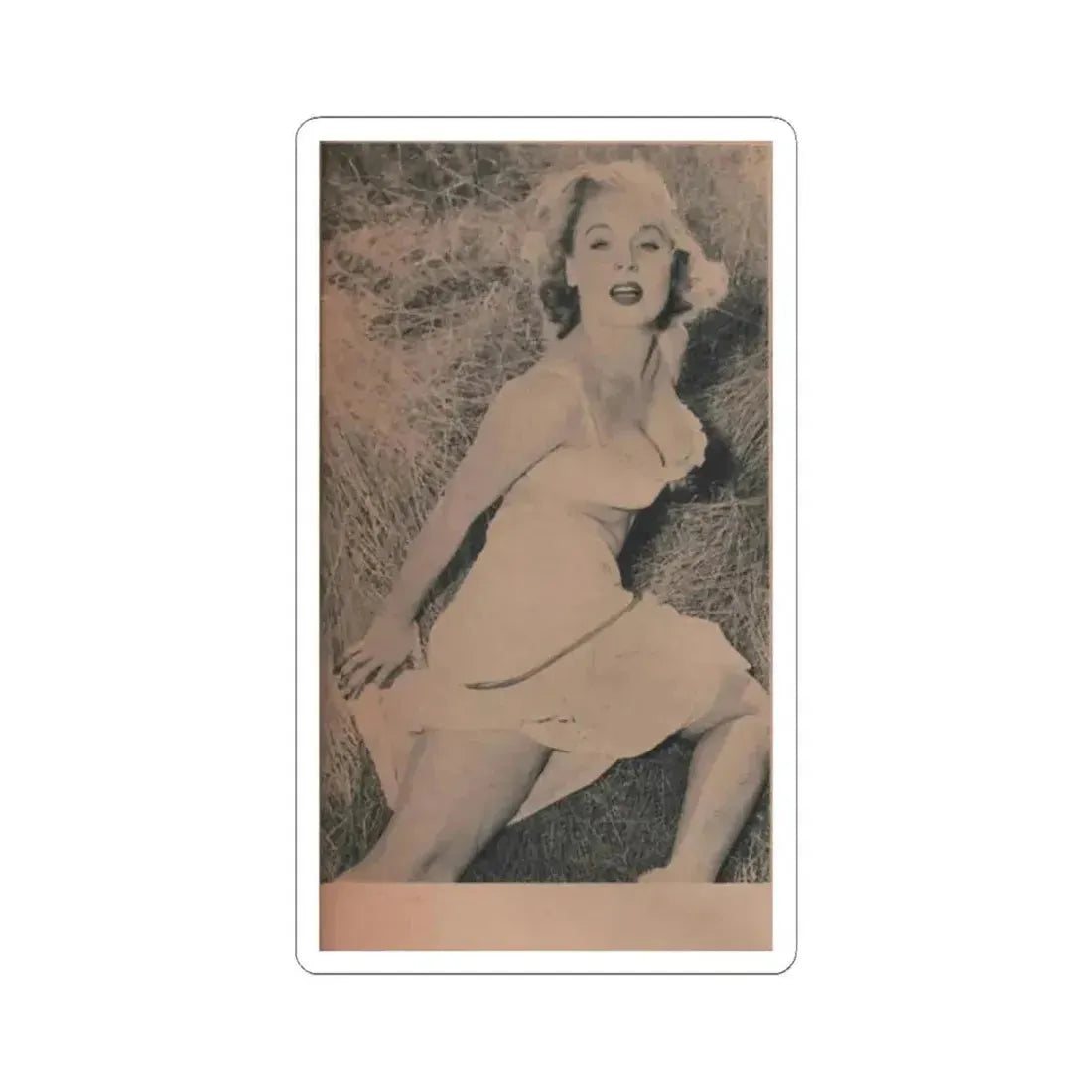 Betty Brosmer #169 - Ace Mag. Dec. '58 - 1 B&W Photo (Vintage Female Icon) STICKER Vinyl Kiss-Cut Decal 2 Inch White - The Sticker Space