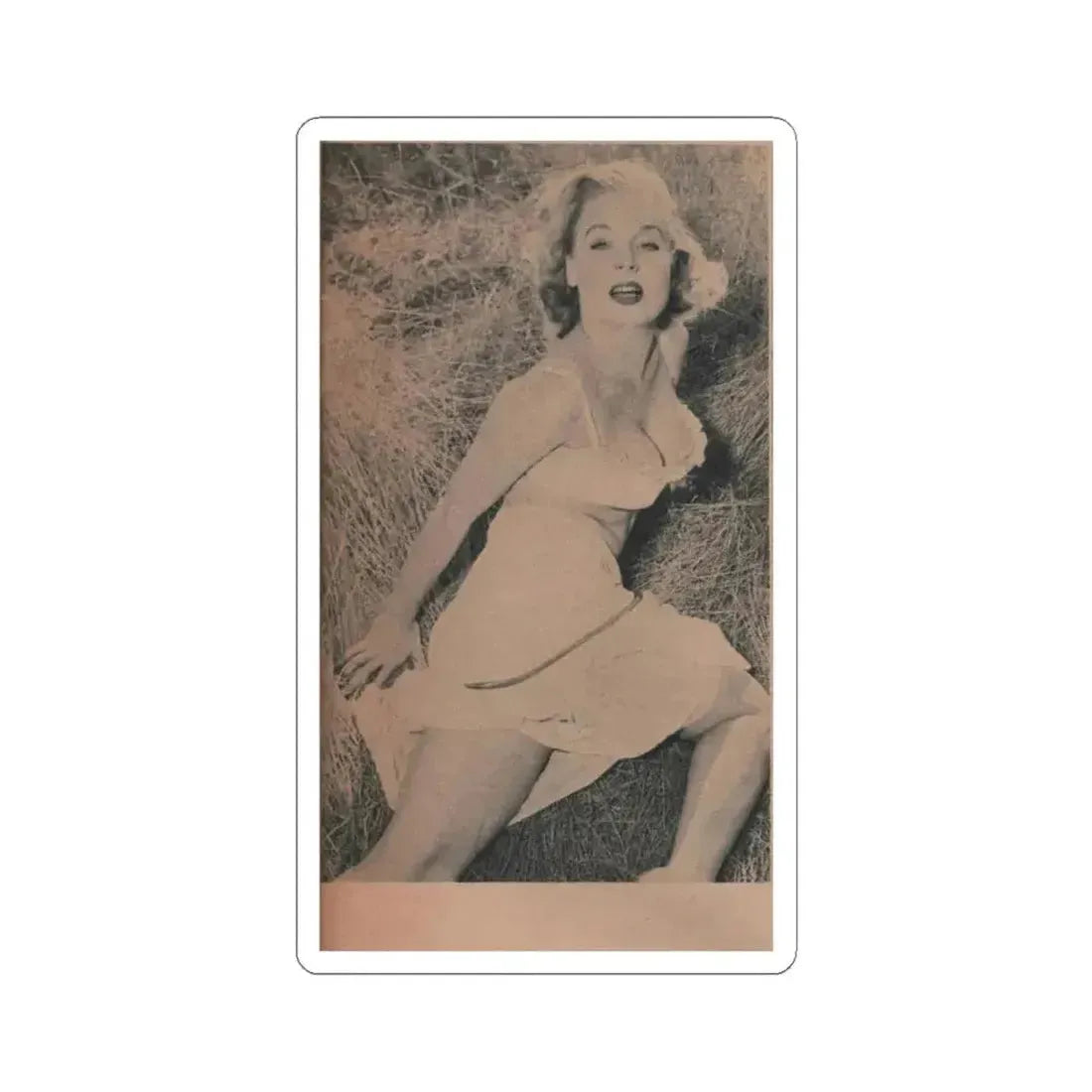 Betty Brosmer #169 - Ace Mag. Dec. '58 - 1 B&W Photo (Vintage Female Icon) STICKER Vinyl Kiss-Cut Decal 6 Inch White - The Sticker Space