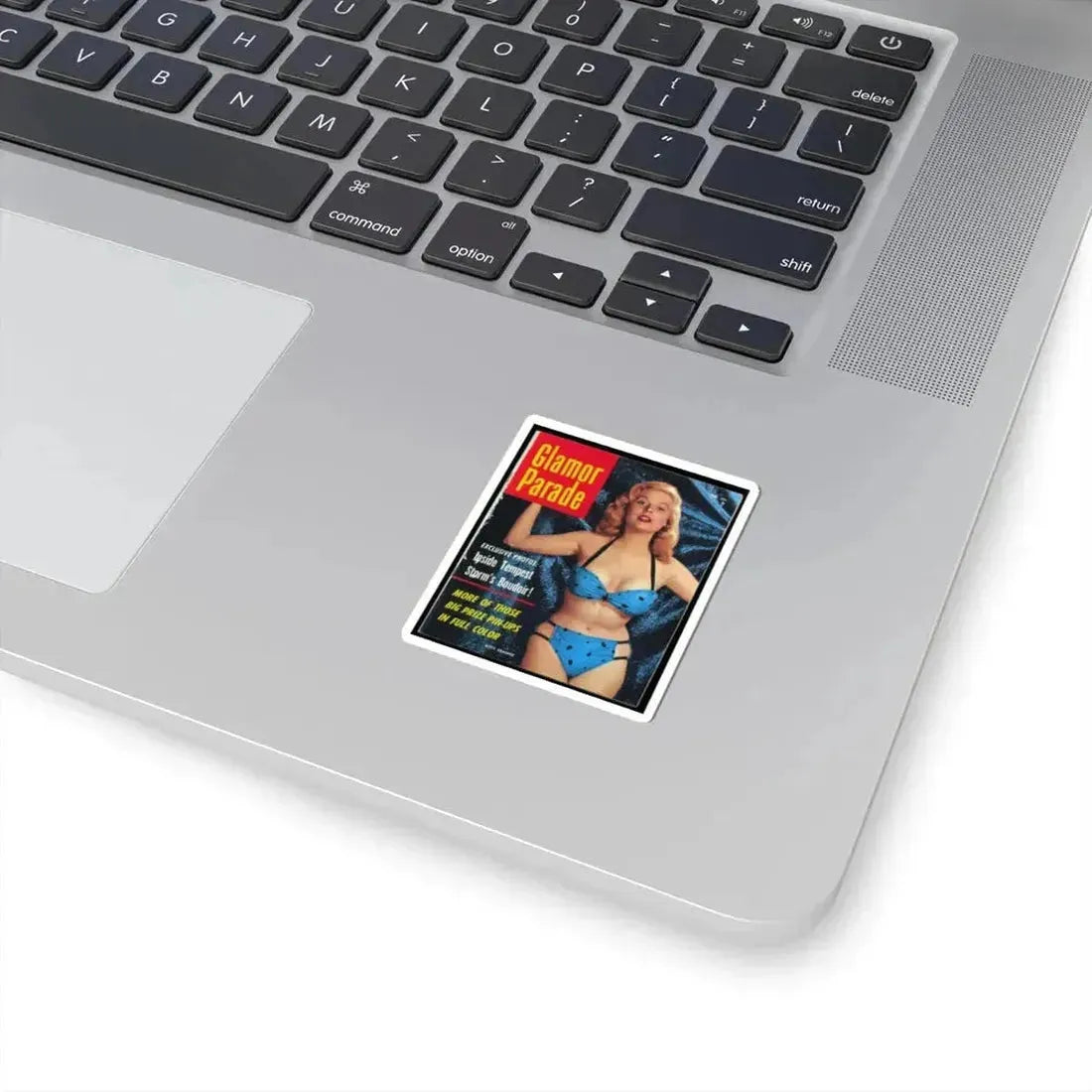 Betty Brosmer #172 - Mag. Cover (Vintage Female Icon) STICKER Vinyl Kiss-Cut Decal - The Sticker Space