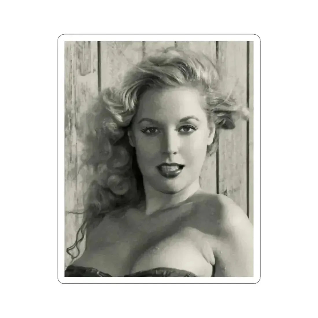 Betty Brosmer #179 (Vintage Female Icon) STICKER Vinyl Kiss-Cut Decal 3 Inch White - The Sticker Space