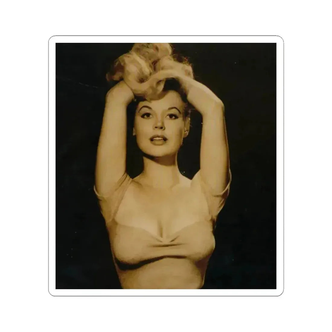 Betty Brosmer #215 (Vintage Female Icon) STICKER Vinyl Kiss-Cut Decal 2 Inch White - The Sticker Space