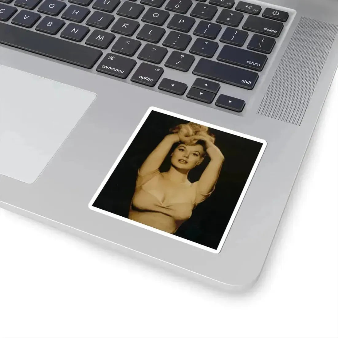 Betty Brosmer #215 (Vintage Female Icon) STICKER Vinyl Kiss-Cut Decal - The Sticker Space