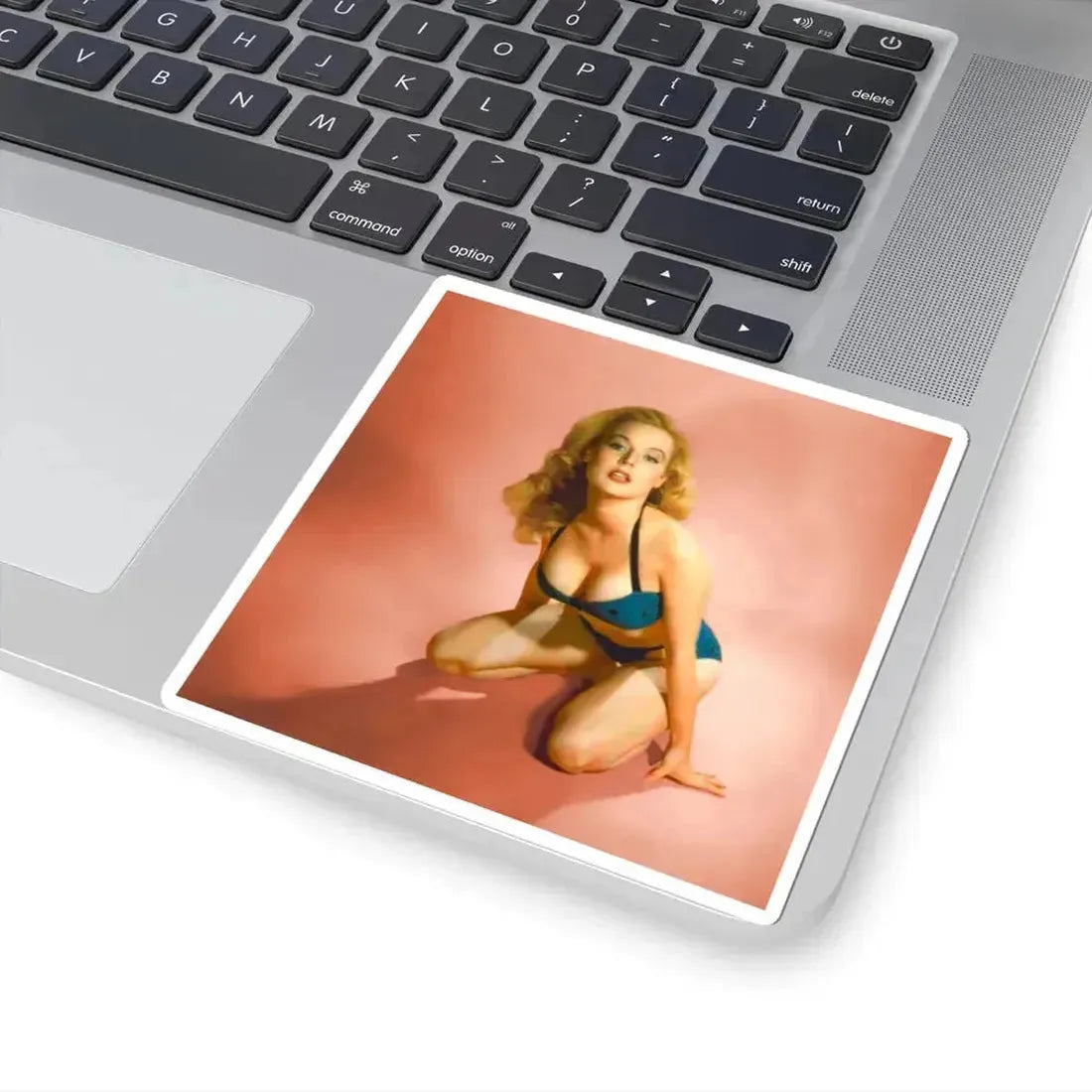 Betty Brosmer #223 (Vintage Female Icon) STICKER Vinyl Kiss-Cut Decal - The Sticker Space