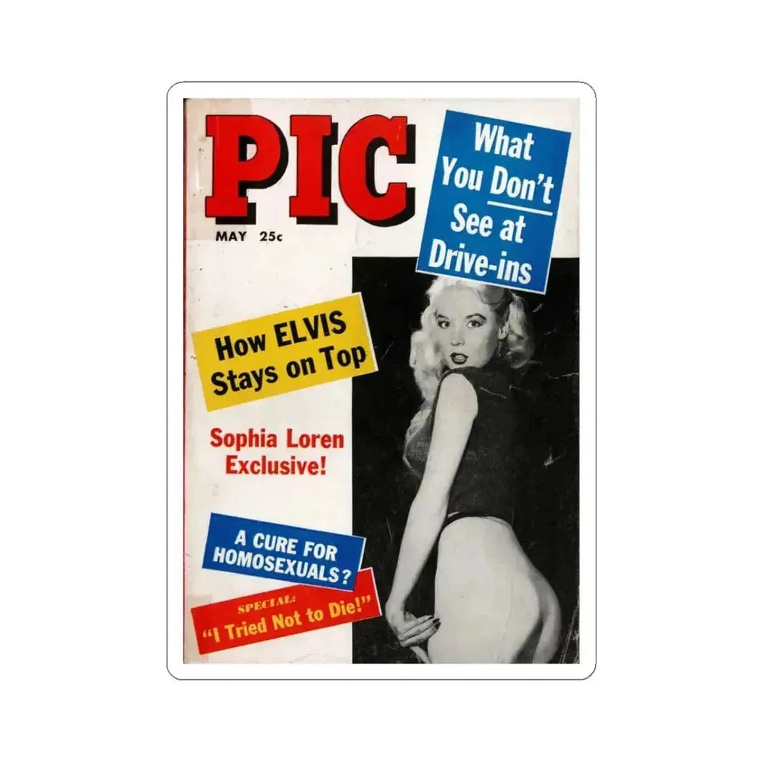 Betty Brosmer #235 - Betty on Cover of PIC Digest Mag. May '57 (Vintage Female Icon) STICKER Vinyl Kiss-Cut Decal 3 Inch White - The Sticker Space