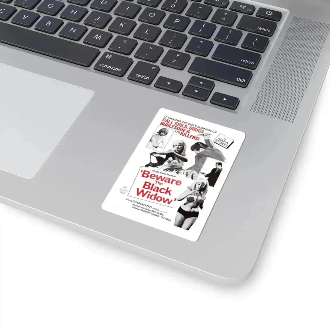 BEWARE THE BLACK WIDOW 1968 Movie Poster - STICKER Vinyl Kiss-Cut Decal - The Sticker Space