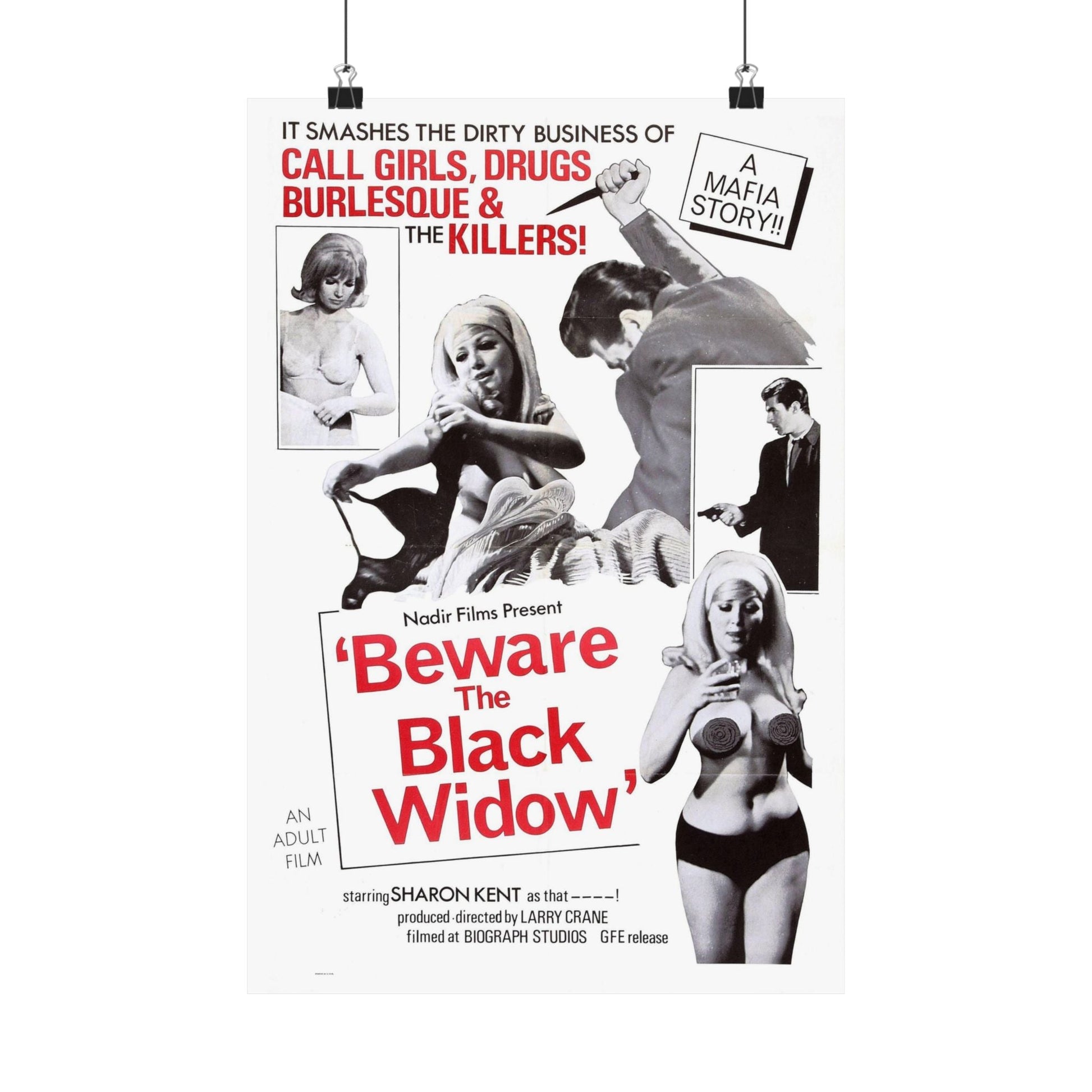 BEWARE THE BLACK WIDOW 1968 - Paper Movie Poster-12″ x 18″-The Sticker Space