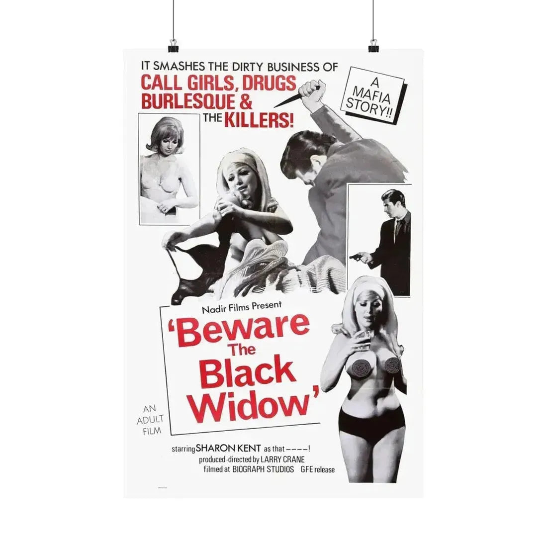 BEWARE THE BLACK WIDOW 1968 - Paper Movie Poster 20″ x 30″ Matte - The Sticker Space