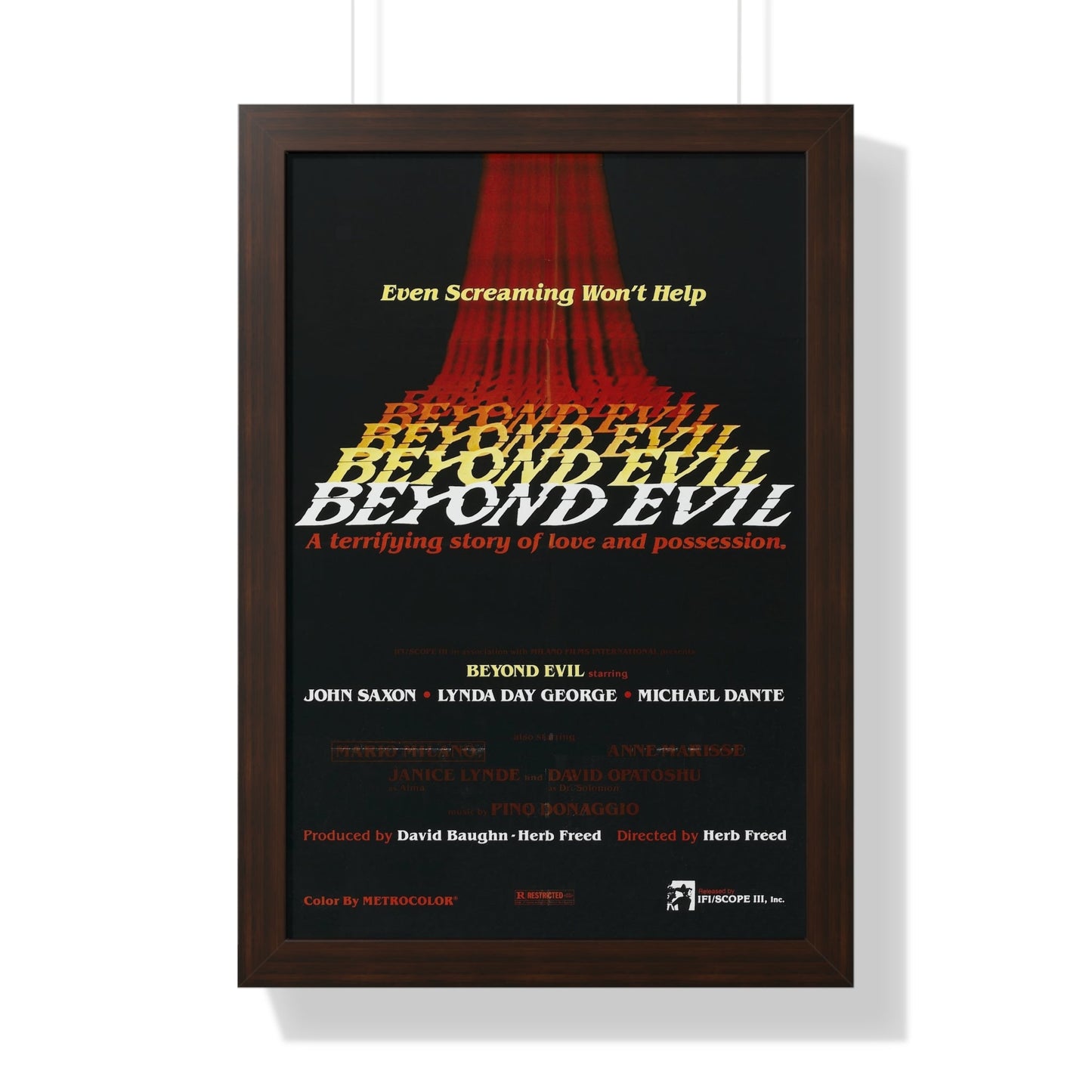 BEYOND EVIL (TEASER) 1980 - Framed Movie Poster-16″ x 24″-The Sticker Space