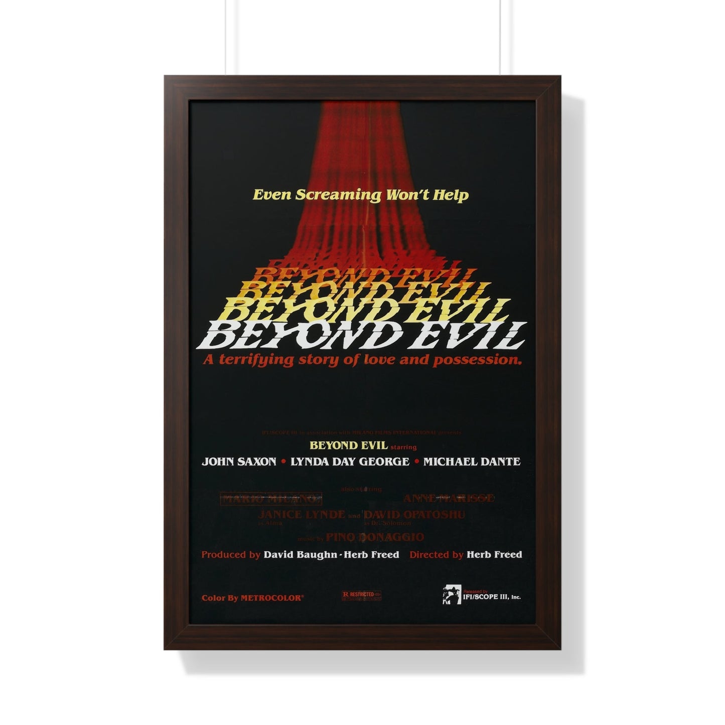 BEYOND EVIL (TEASER) 1980 - Framed Movie Poster-20" x 30"-The Sticker Space