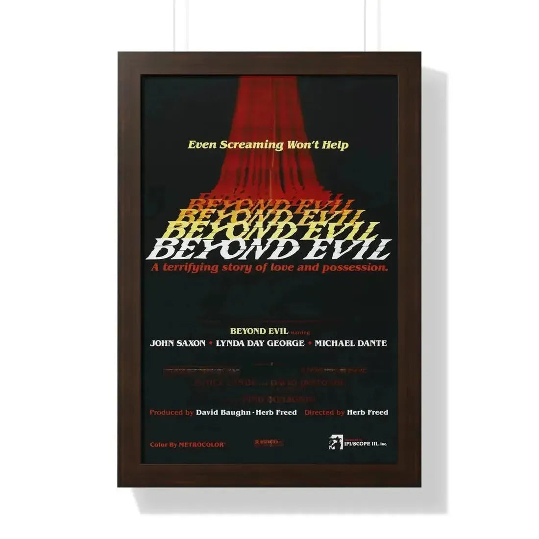 BEYOND EVIL (TEASER) 1980 - Framed Movie Poster - The Sticker Space