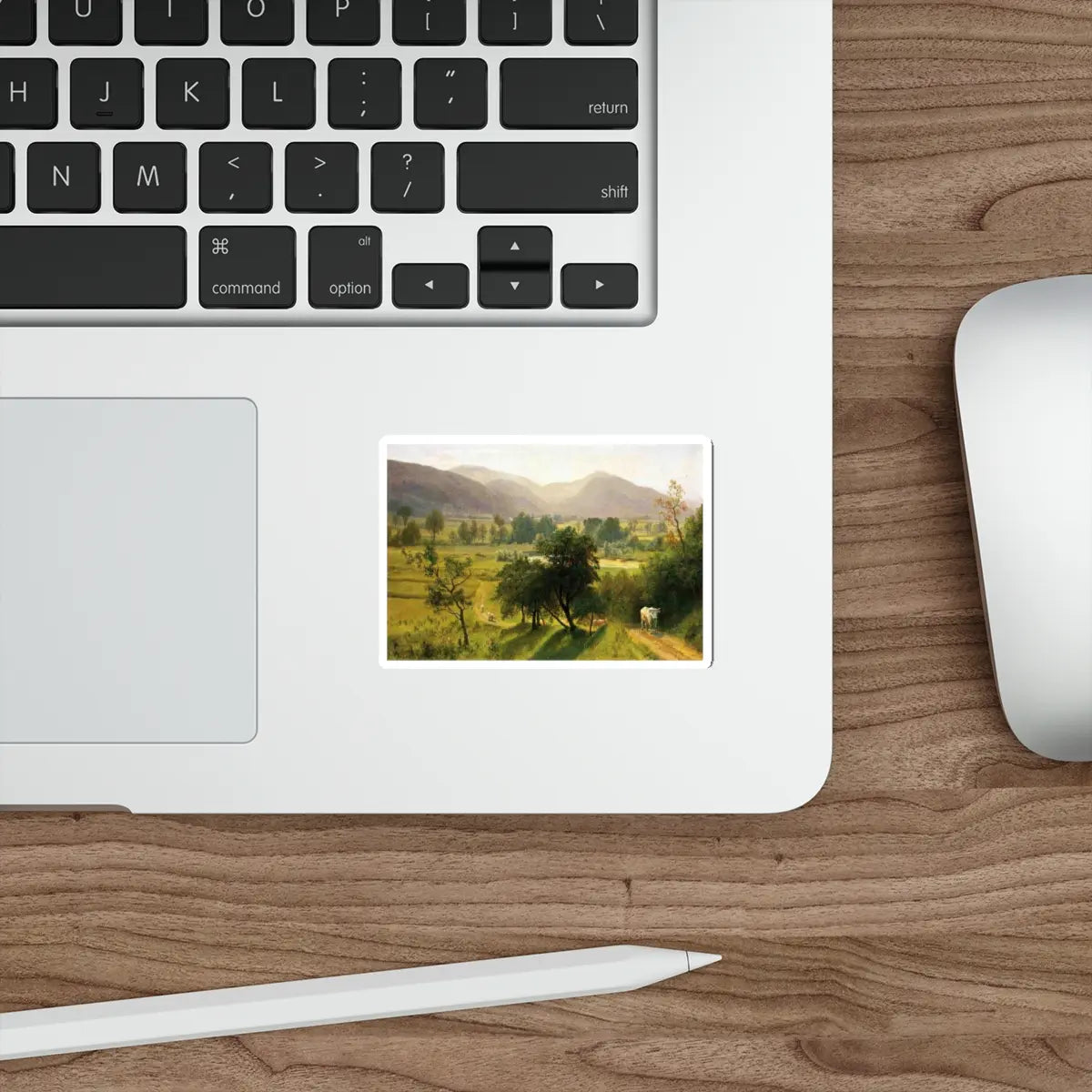 SKU:10057492701264440767 Sticker types:White Shape:Die-Cut Sizes:3" × 3"