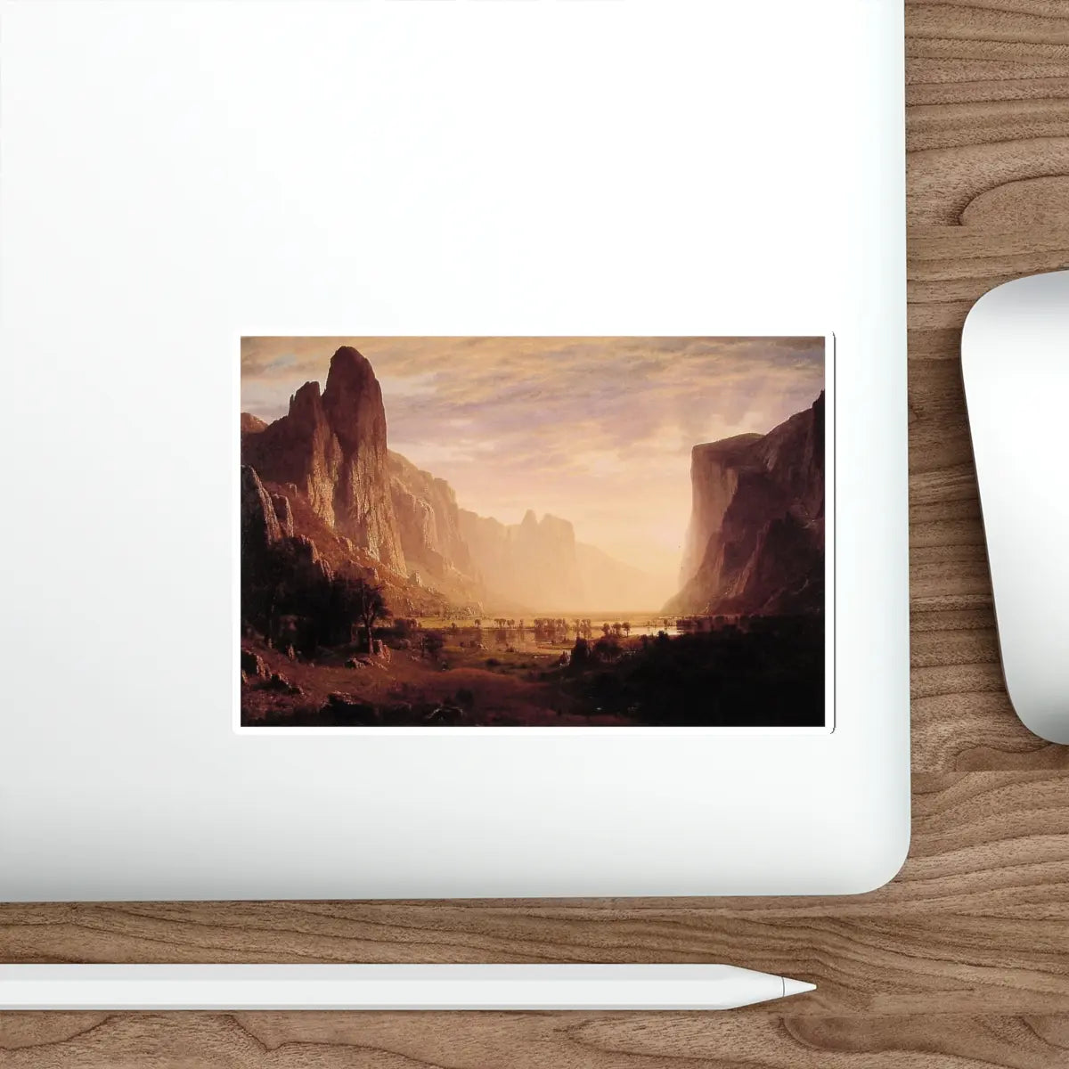 SKU:87397075162724271134 Sticker types:White Shape:Die-Cut Sizes:5" × 5"