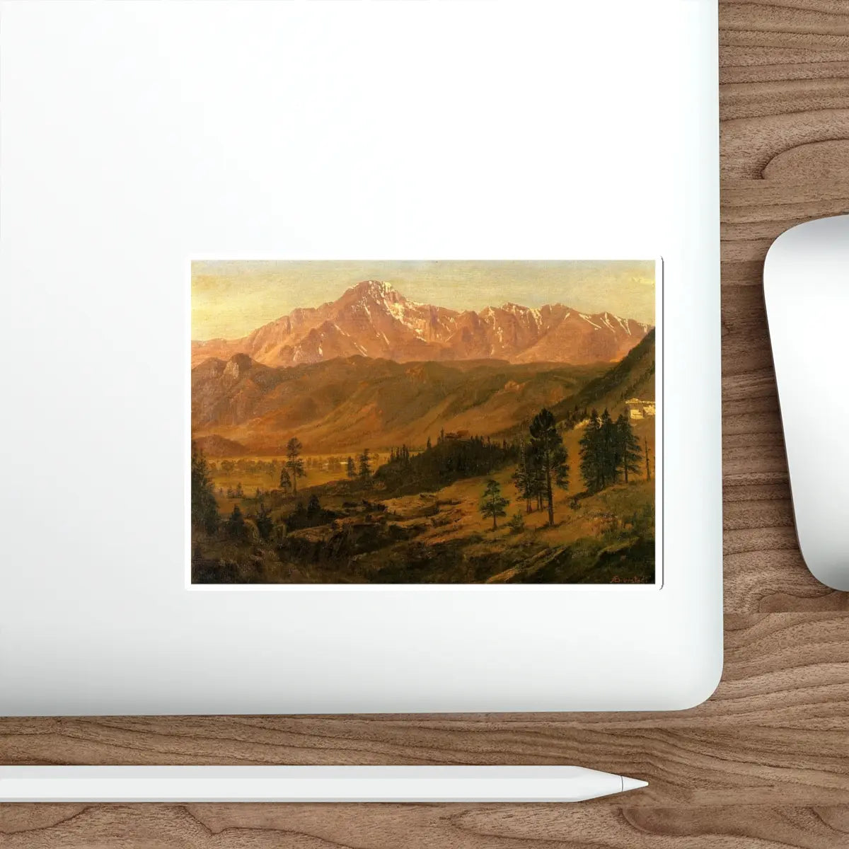 SKU:41964783245549015144 Sticker types:White Shape:Die-Cut Sizes:5" × 5"