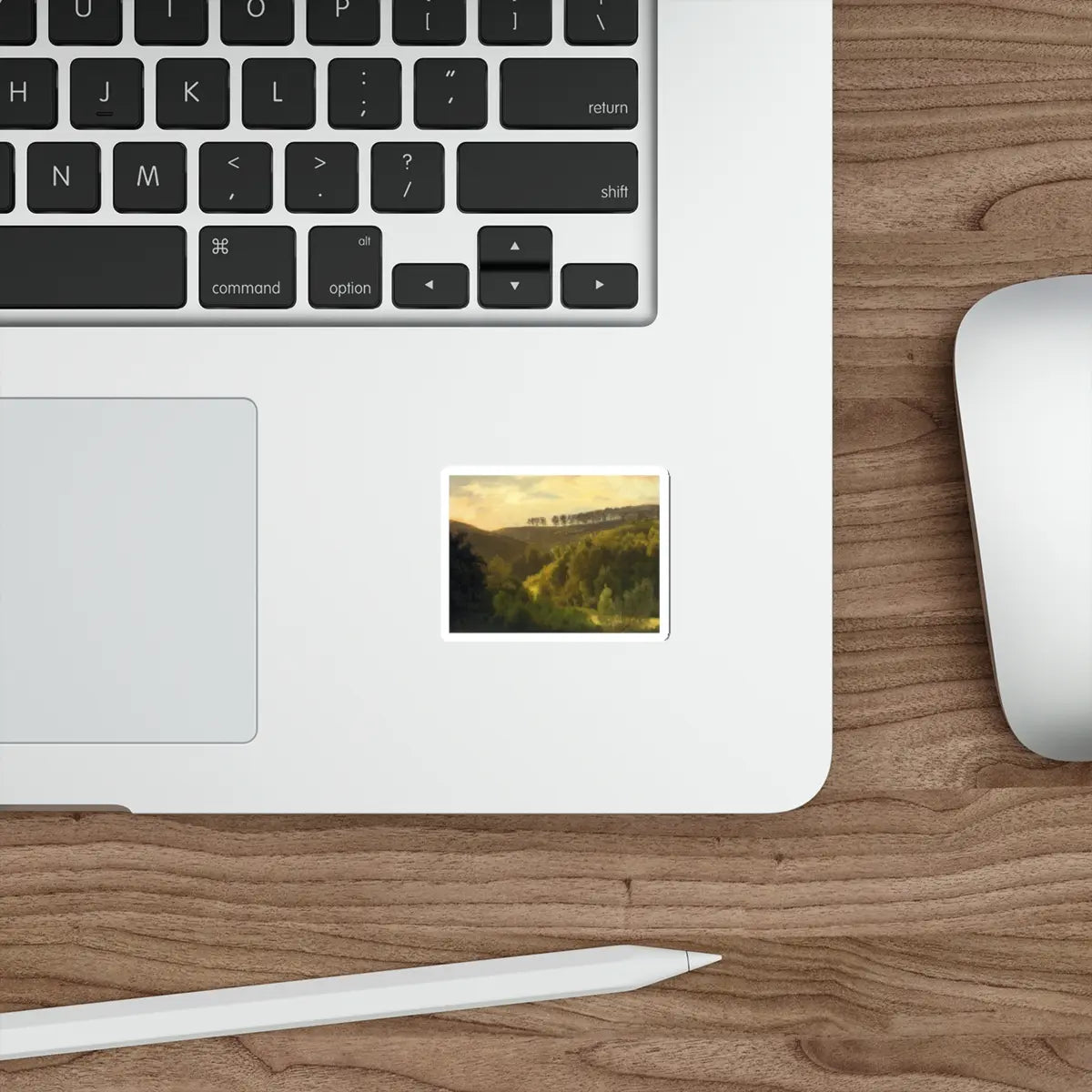 SKU:86774797177612511981 Sticker types:White Shape:Die-Cut Sizes:2" × 2"
