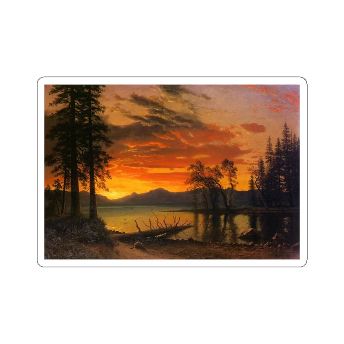 SKU:28335278178049025639 Sticker types:White Shape:Die-Cut Sizes:4" × 4"