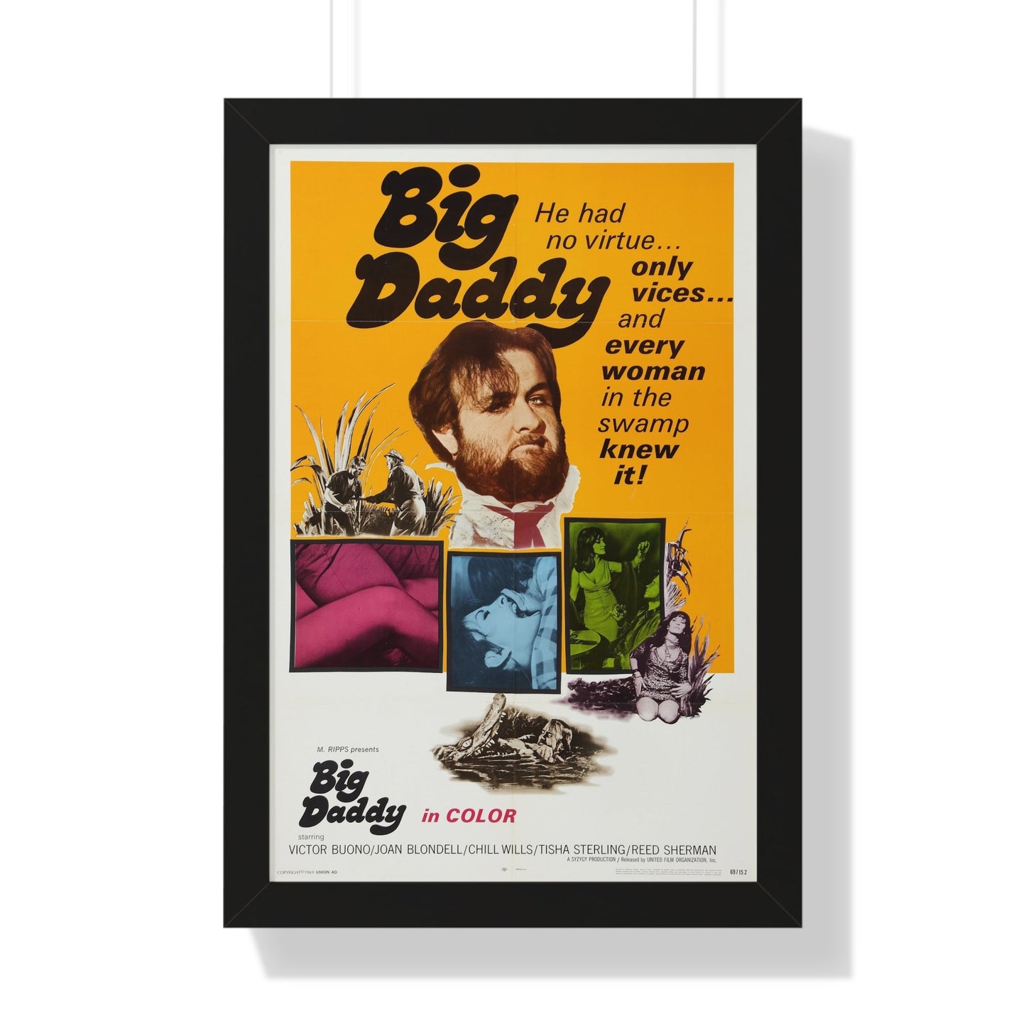 BIG DADDY 1969 - Framed Movie Poster-16″ x 24″-The Sticker Space