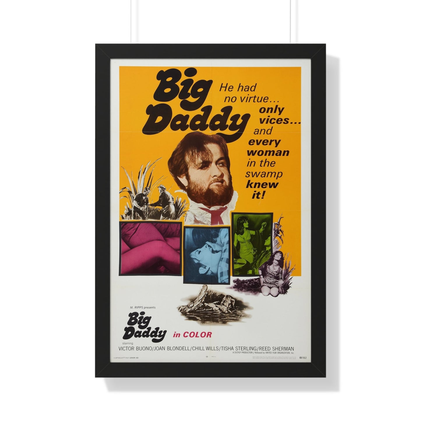 BIG DADDY 1969 - Framed Movie Poster-20" x 30"-The Sticker Space