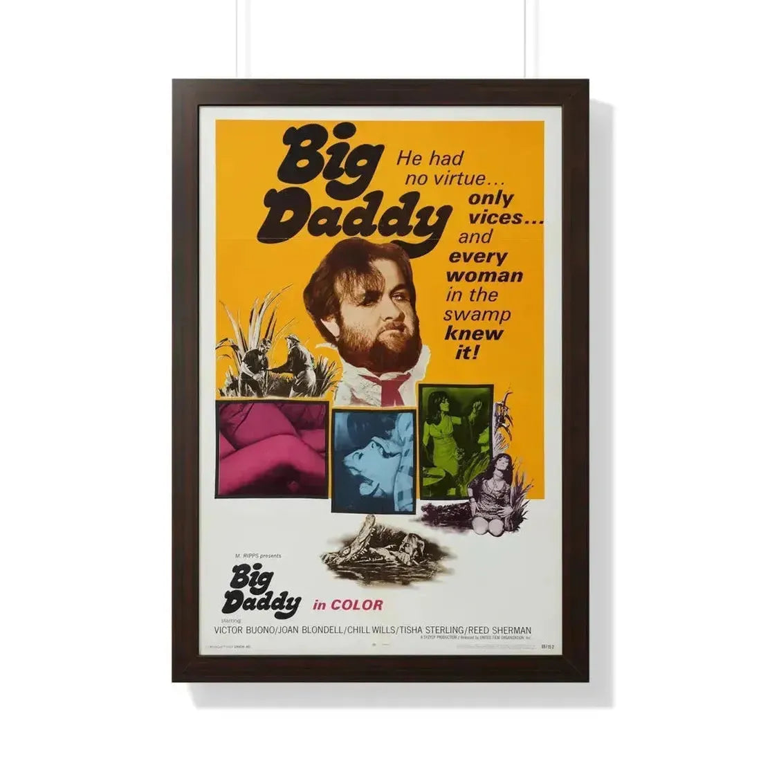 BIG DADDY 1969 - Framed Movie Poster 20" x 30" Walnut - The Sticker Space