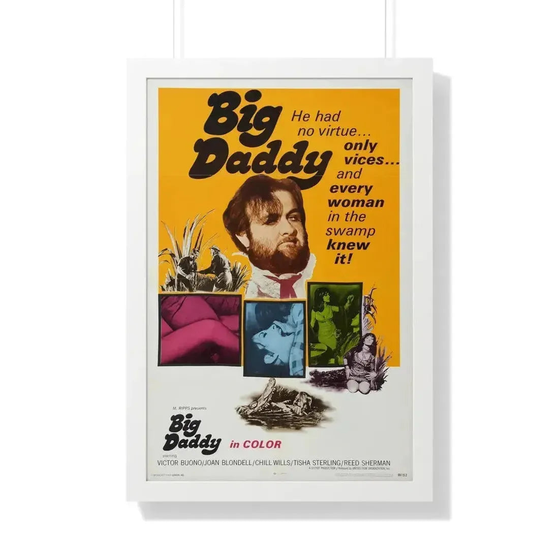 BIG DADDY 1969 - Framed Movie Poster 20" x 30" White - The Sticker Space