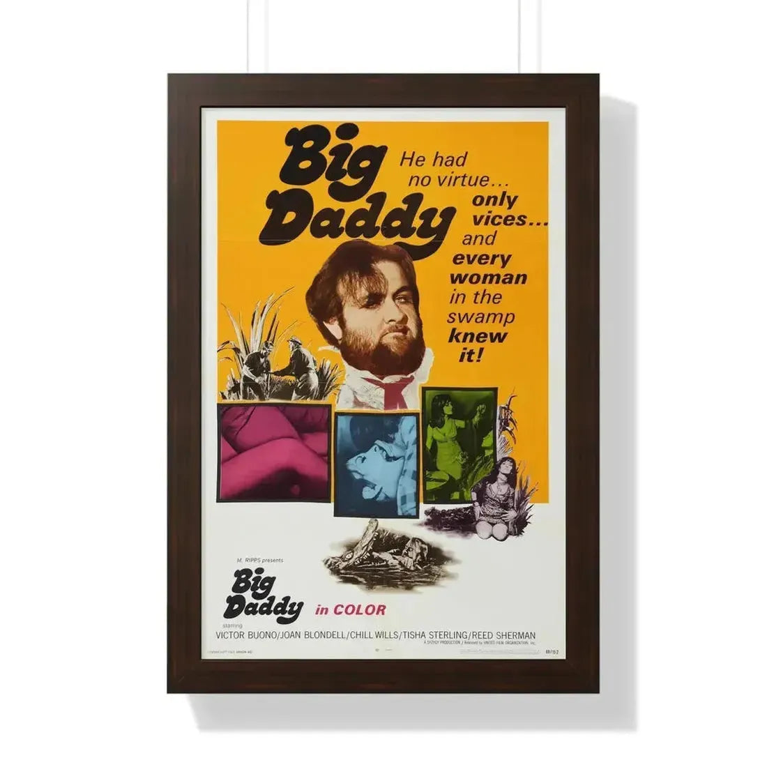 BIG DADDY 1969 - Framed Movie Poster - The Sticker Space
