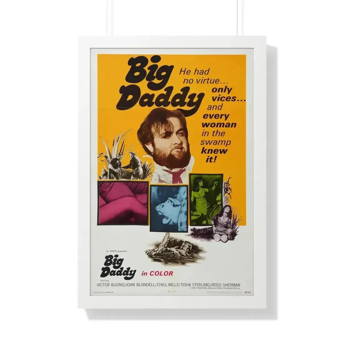 BIG DADDY 1969 - Framed Movie Poster - The Sticker Space