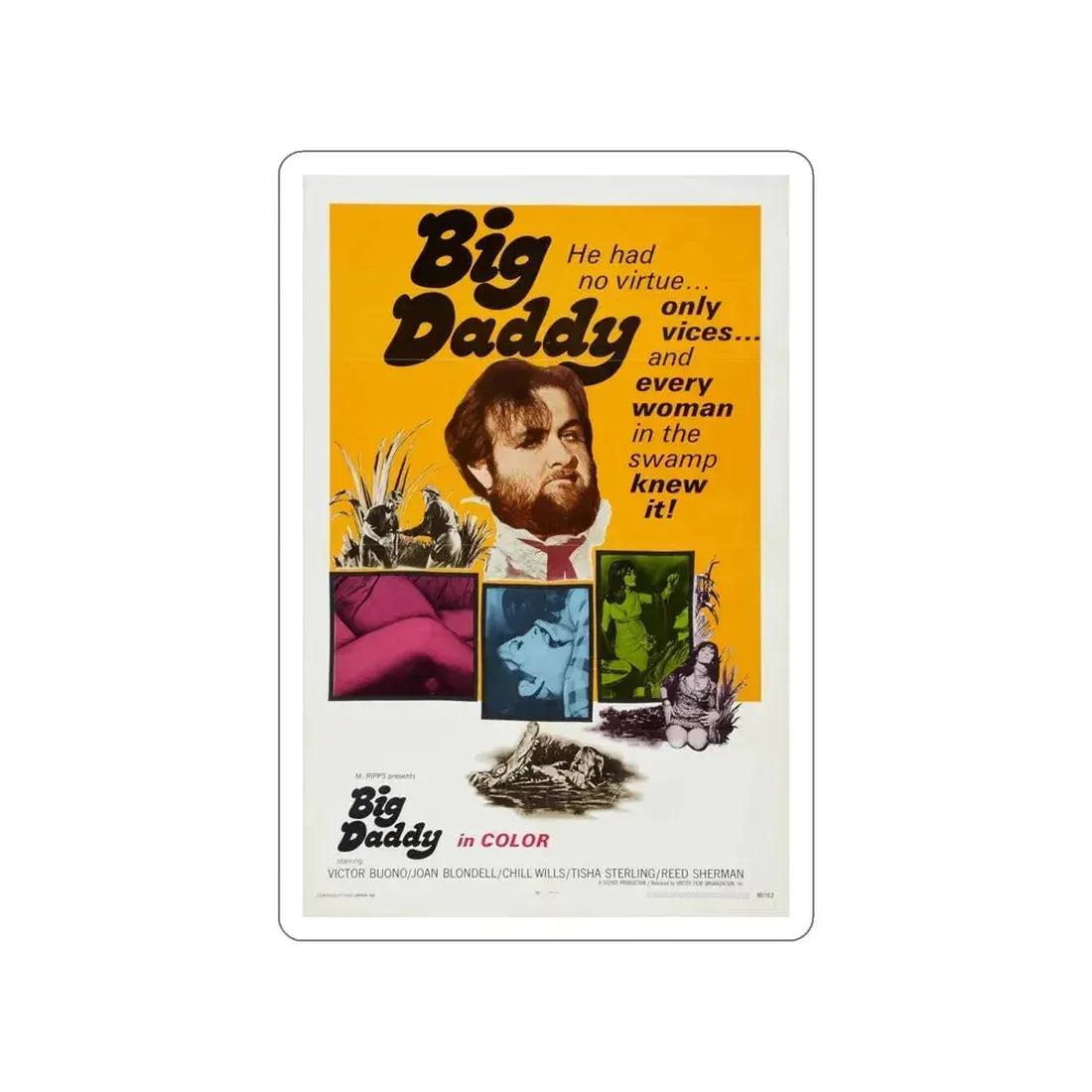 BIG DADDY 1969 Movie Poster STICKER Vinyl Die-Cut Decal 6 Inch - The Sticker Space