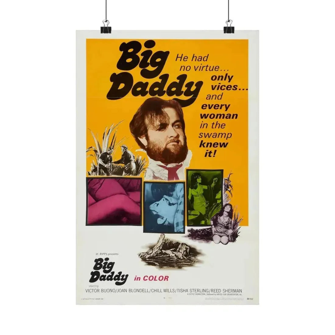 BIG DADDY 1969 - Paper Movie Poster 12″ x 18″ Matte - The Sticker Space