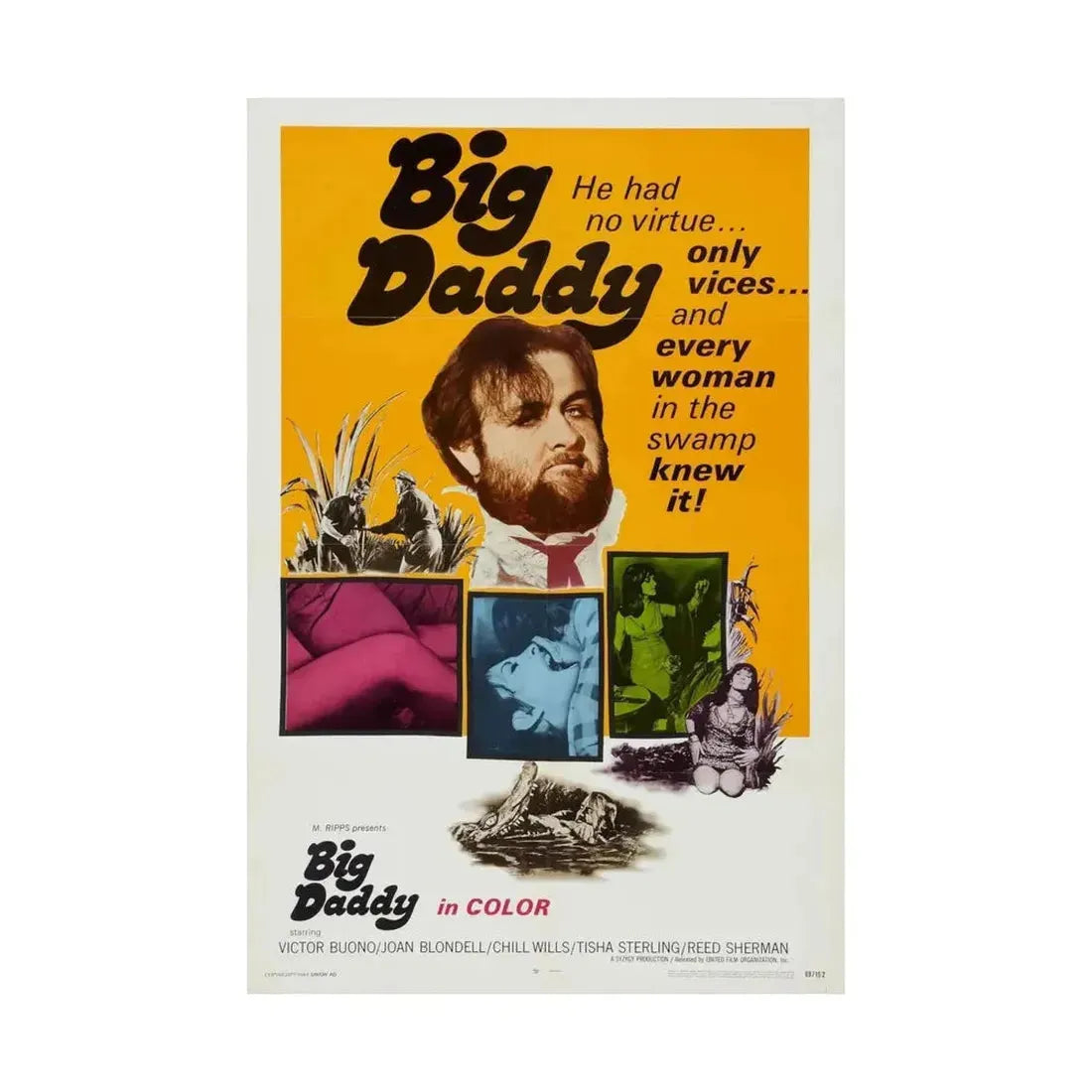 BIG DADDY 1969 - Paper Movie Poster - The Sticker Space