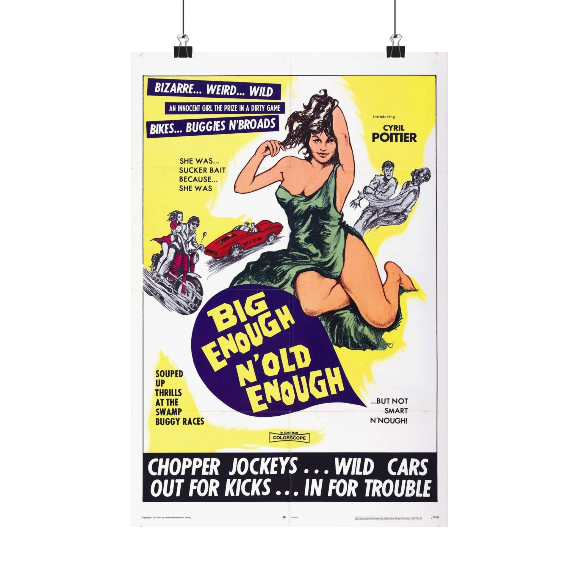 BIG ENOUGH 'N OLD ENOUGH 1968 - Paper Movie Poster-12″ x 18″-The Sticker Space