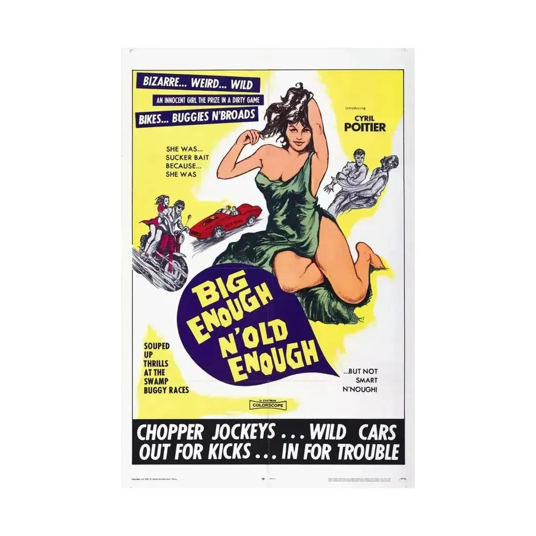 BIG ENOUGH 'N OLD ENOUGH 1968 - Paper Movie Poster - The Sticker Space