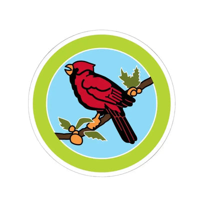 Bird Study (Boy Scout Merit Badge) STICKER Vinyl Kiss-Cut Decal 6 Inch White - The Sticker Space