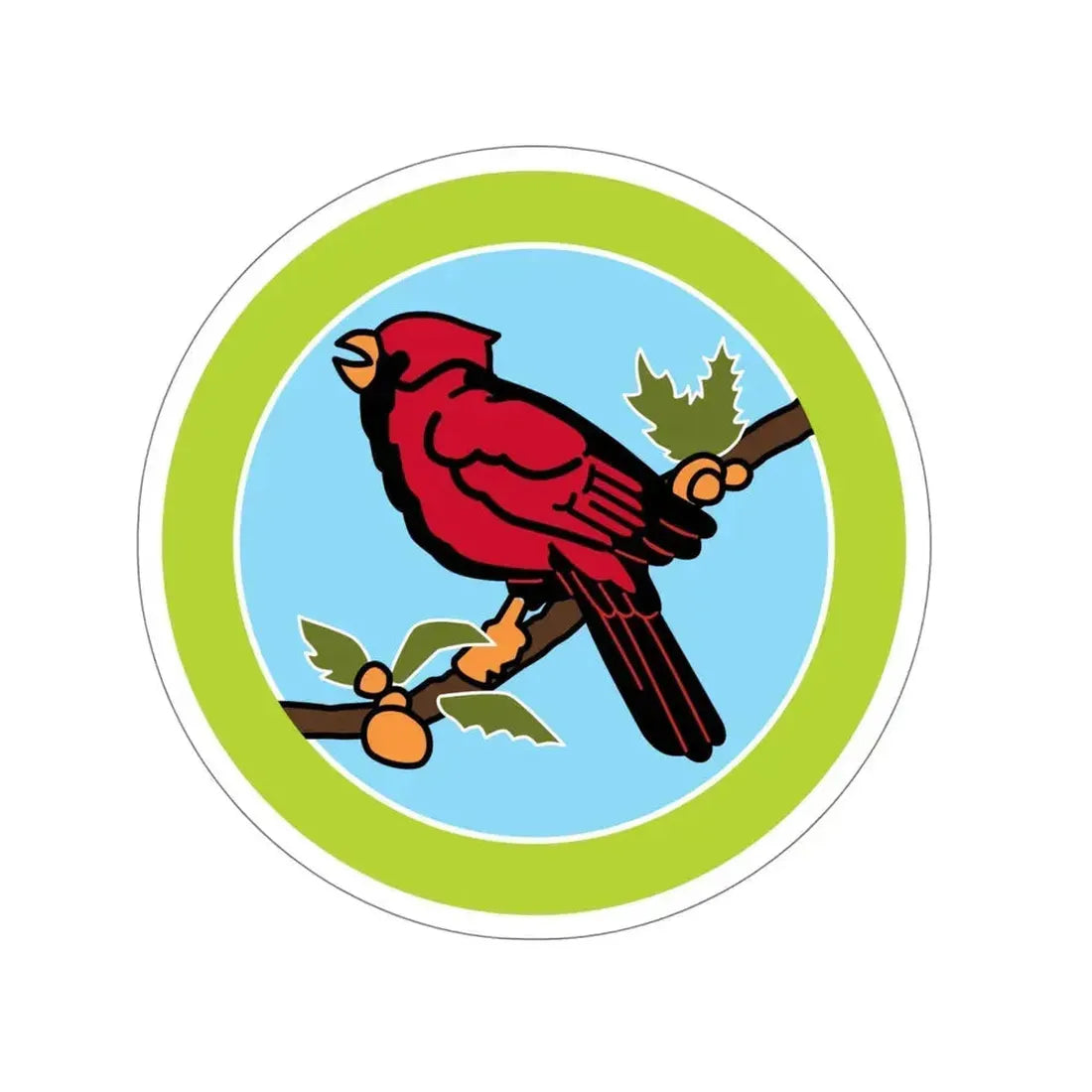 Bird Study (Boy Scouts Merit Badge) STICKER Vinyl Die-Cut Decal 5 Inch - The Sticker Space