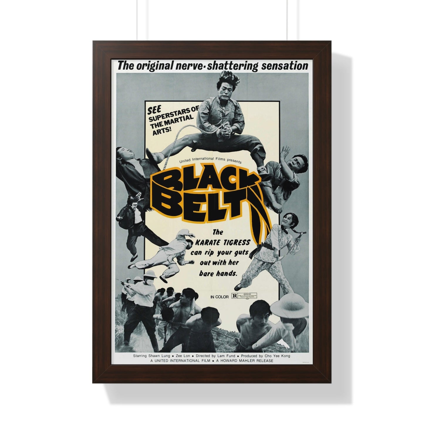 BLACK BELT 1973 - Framed Movie Poster-16″ x 24″-The Sticker Space