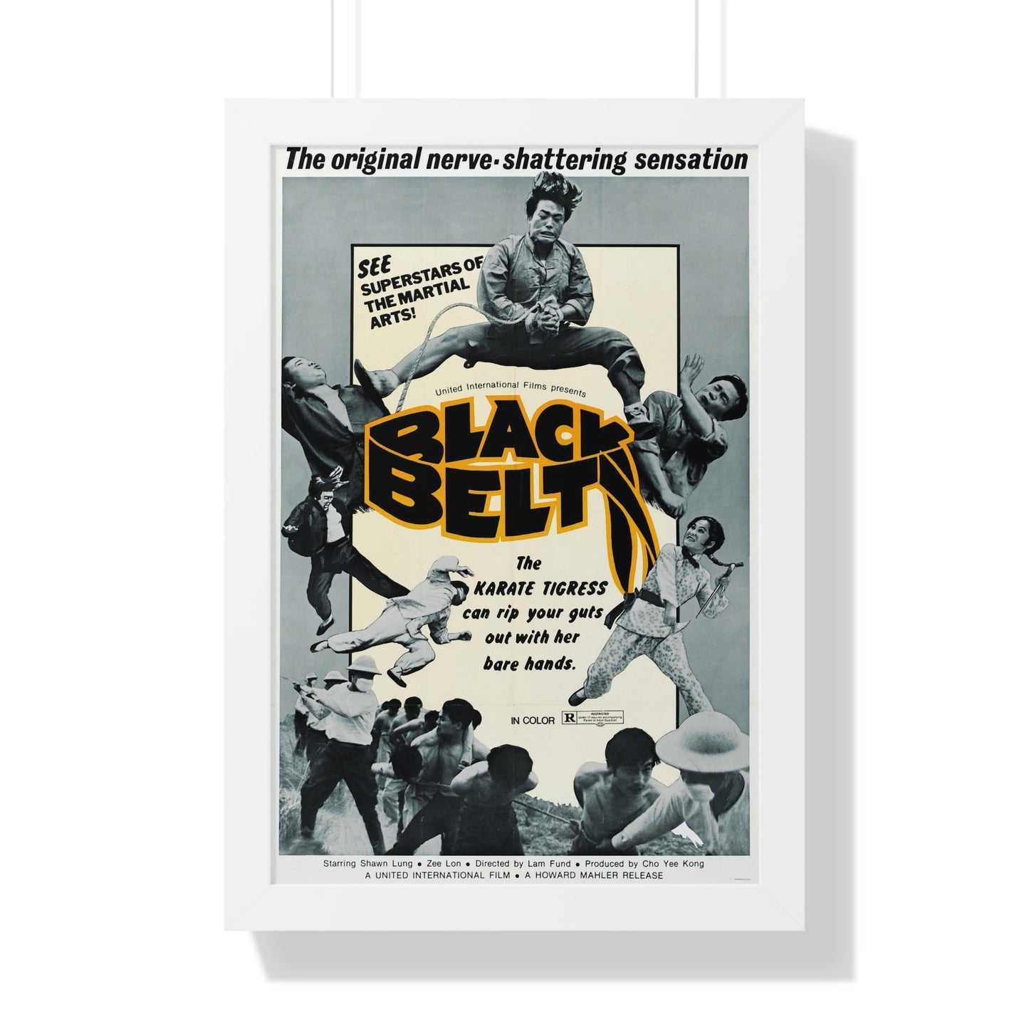 BLACK BELT 1973 - Framed Movie Poster-16″ x 24″-The Sticker Space