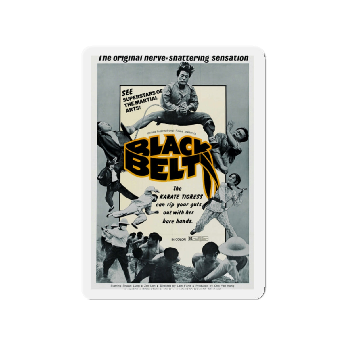 BLACK BELT 1973 Movie Poster - Die-Cut Magnet-2" x 2"-The Sticker Space