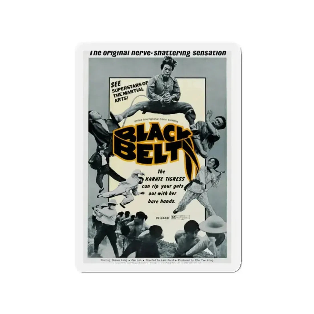 BLACK BELT 1973 Movie Poster - Refrigerator Magnet - The Sticker Space