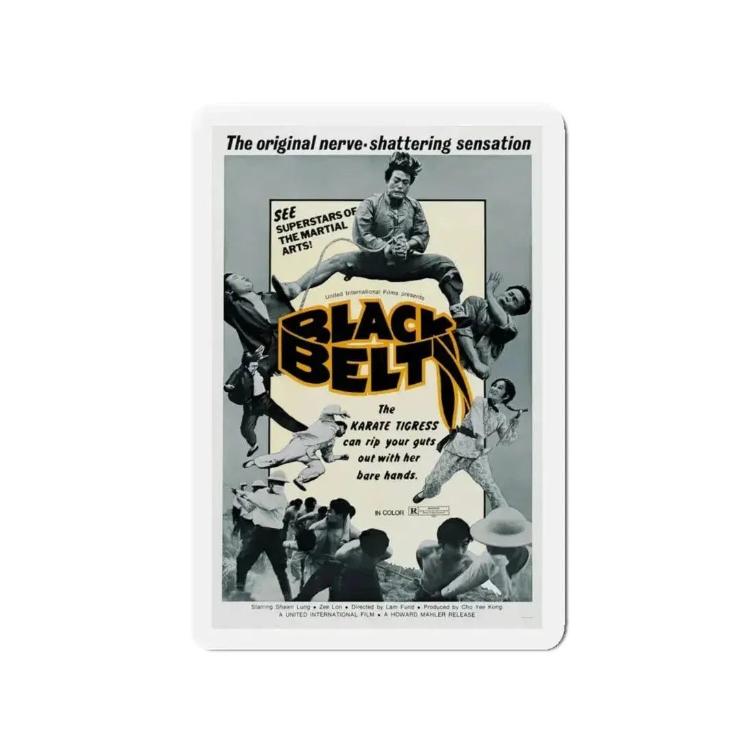 BLACK BELT 1973 Movie Poster - Refrigerator Magnet - The Sticker Space