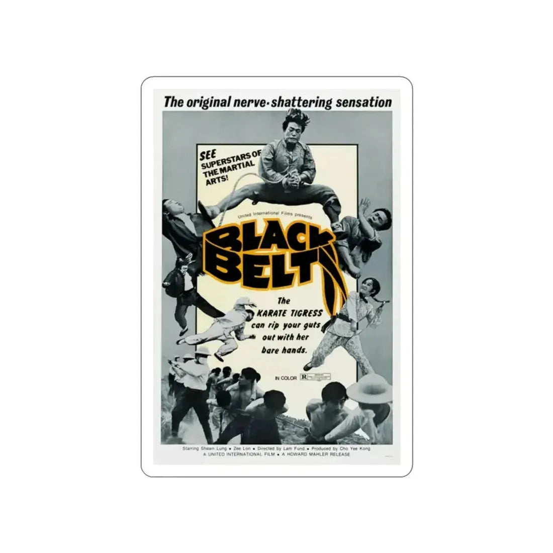 BLACK BELT 1973 Movie Poster STICKER Vinyl Die-Cut Decal - The Sticker Space
