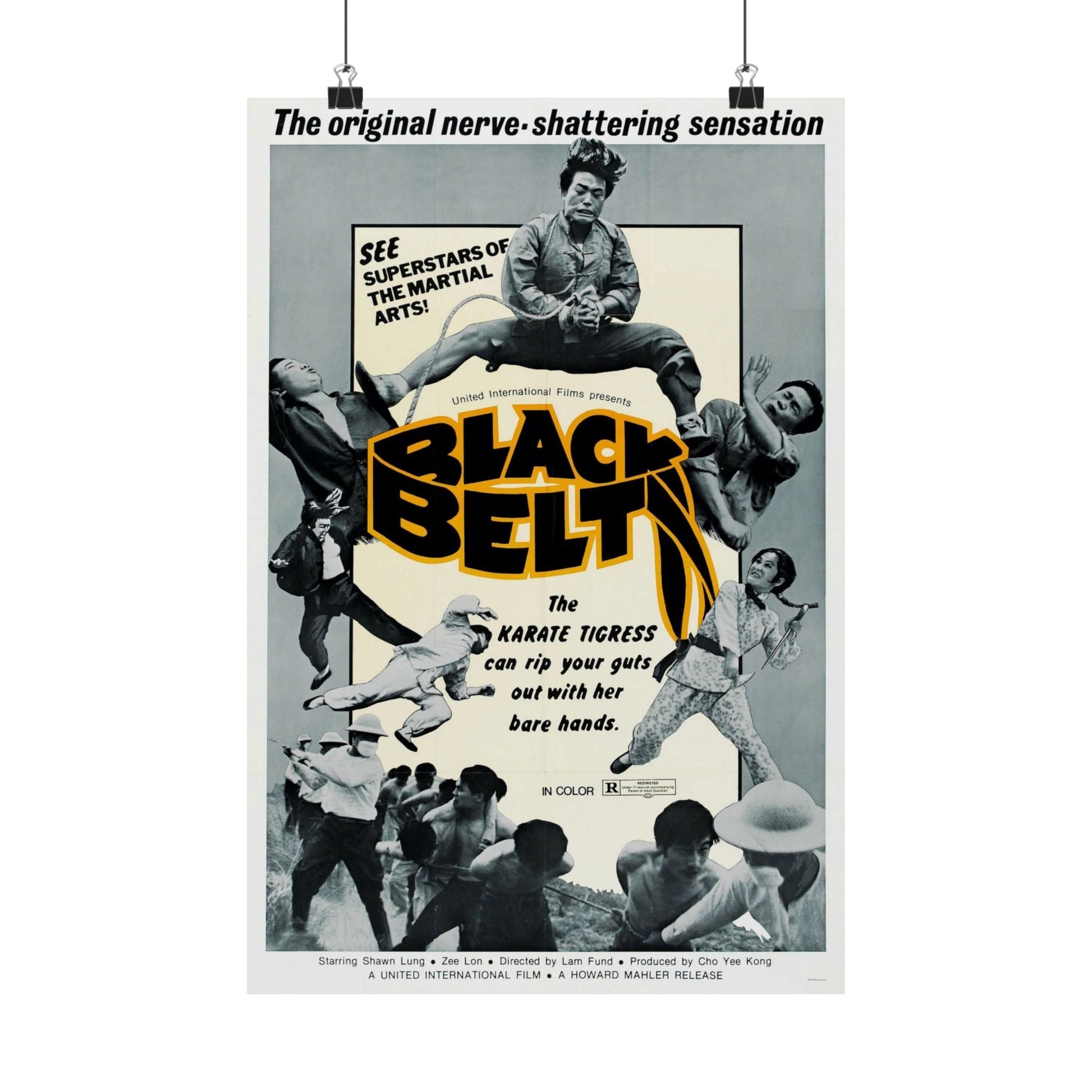 BLACK BELT 1973 - Paper Movie Poster-12″ x 18″-The Sticker Space