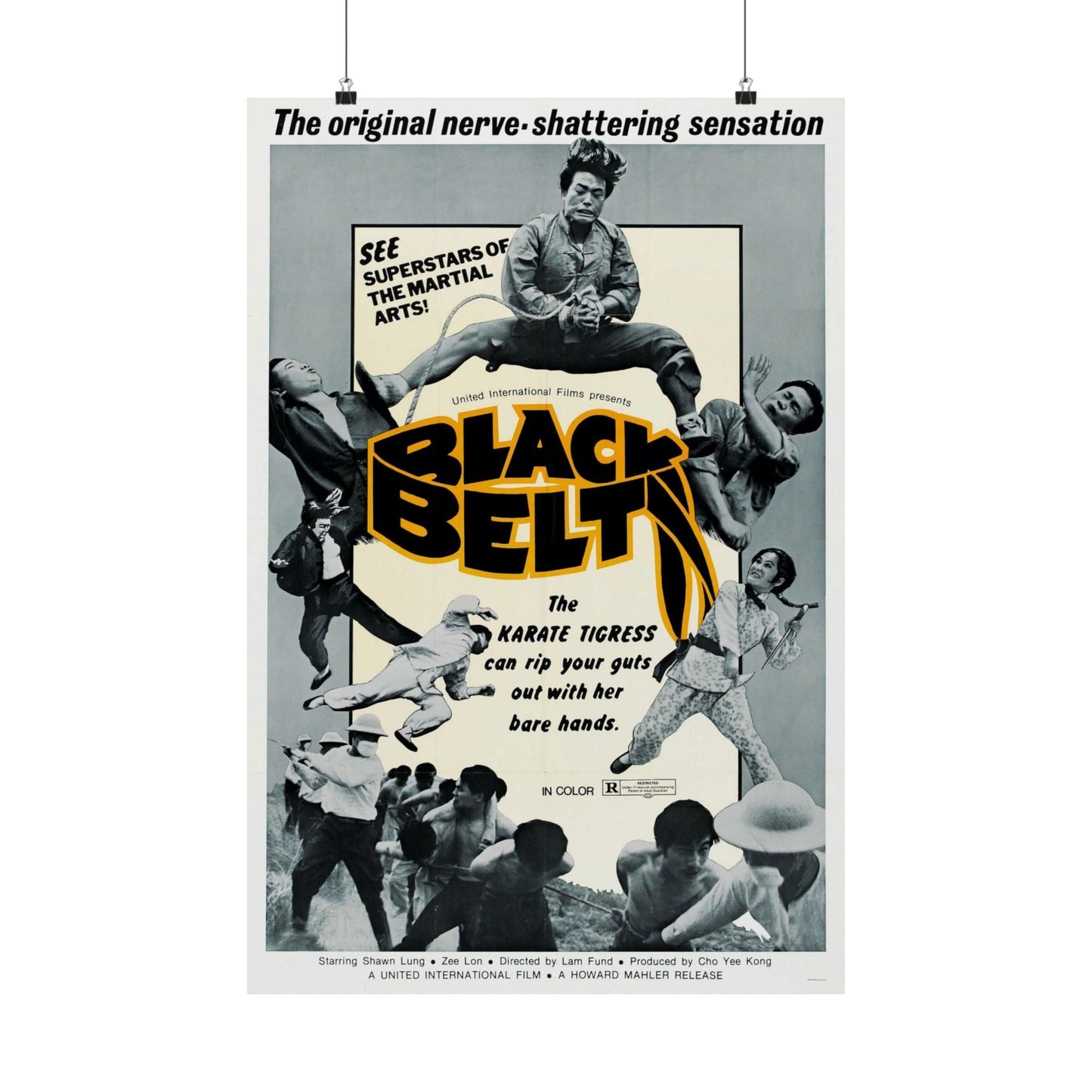 BLACK BELT 1973 - Paper Movie Poster-20″ x 30″-The Sticker Space