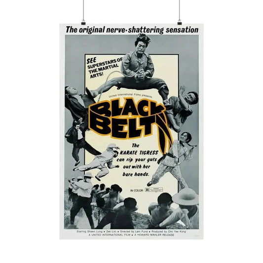 BLACK BELT 1973 - Paper Movie Poster 24″ x 36″ Matte - The Sticker Space