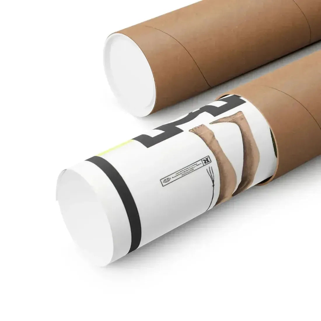 BLACK SNAKE 1973 - Paper Movie Poster - The Sticker Space