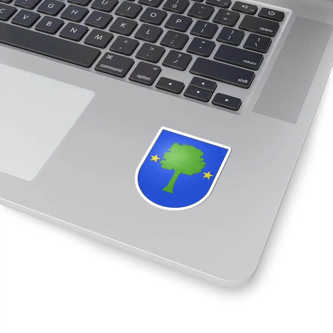 Blason Es famille Allin Navarre (Spain) (Coat of Arms) STICKER Vinyl Kiss-Cut Decal - The Sticker Space