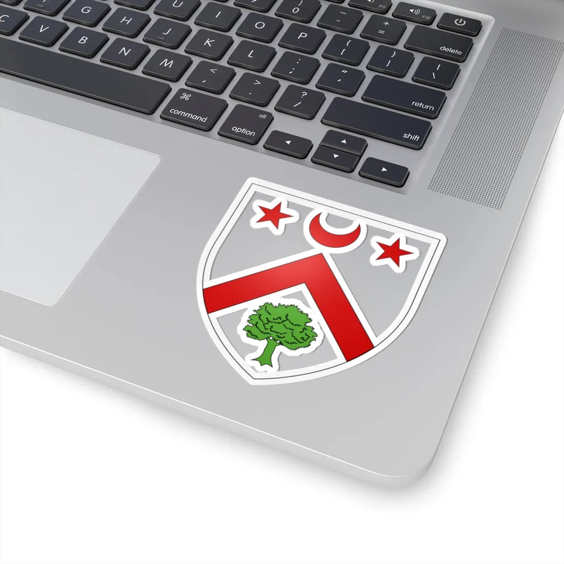Blason famille fr Angevin (France) (Coat of Arms) STICKER Vinyl Kiss-Cut Decal - The Sticker Space