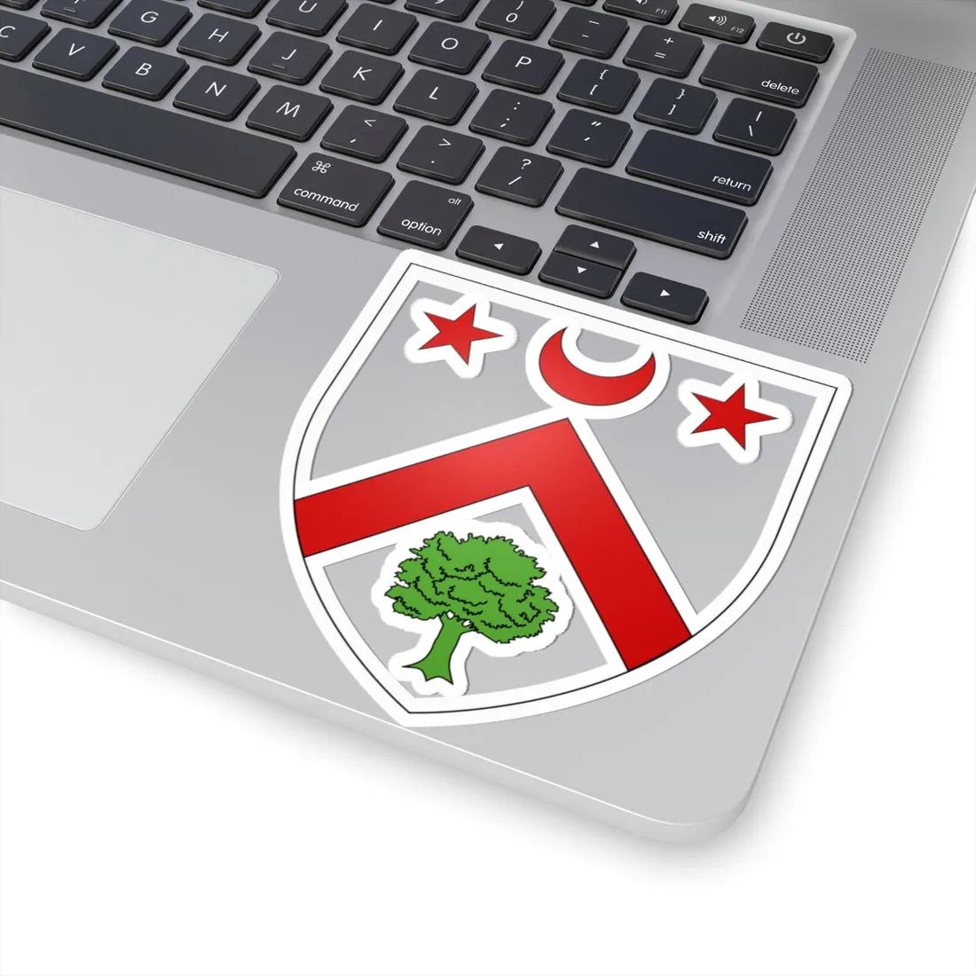 Blason famille fr Angevin (France) (Coat of Arms) STICKER Vinyl Kiss-Cut Decal - The Sticker Space