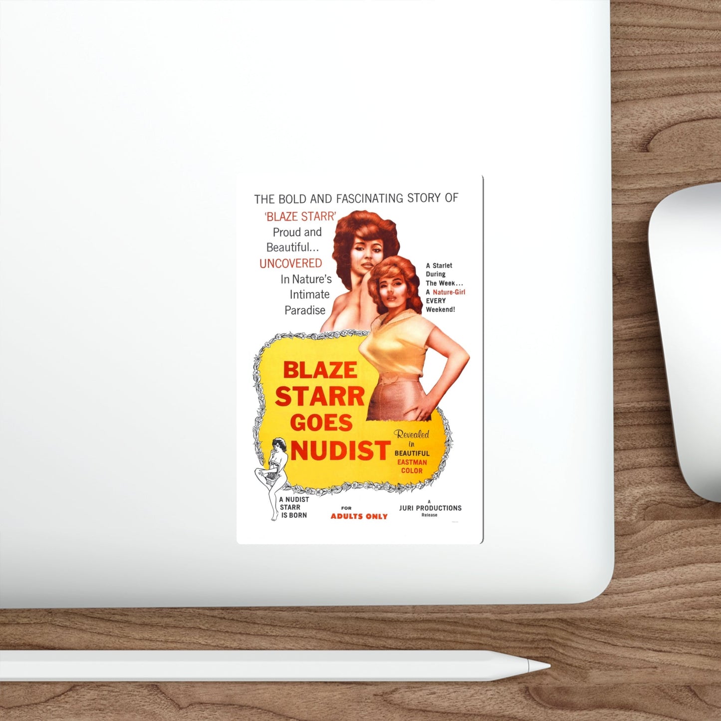 BLAZE STARR GOES NUDIST 1962 Movie Poster STICKER Vinyl Die-Cut Decal-The Sticker Space