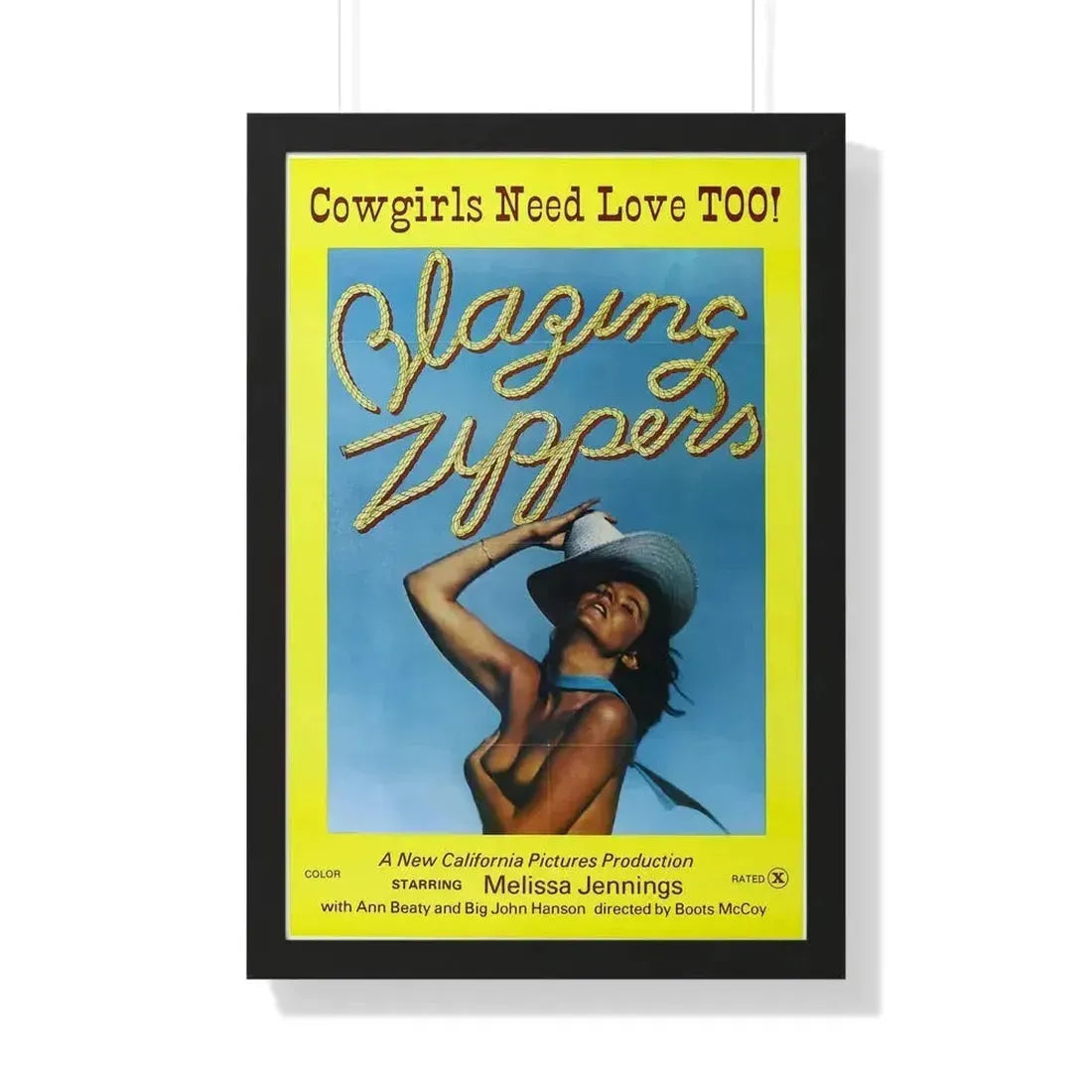 BLAZING ZIPPERS 1976 - Framed Movie Poster 20" x 30" Black - The Sticker Space