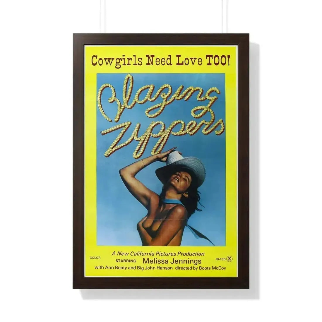 BLAZING ZIPPERS 1976 - Framed Movie Poster - The Sticker Space